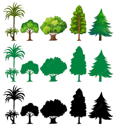 Conjunto De Diferentes Arboles Vector Gratis