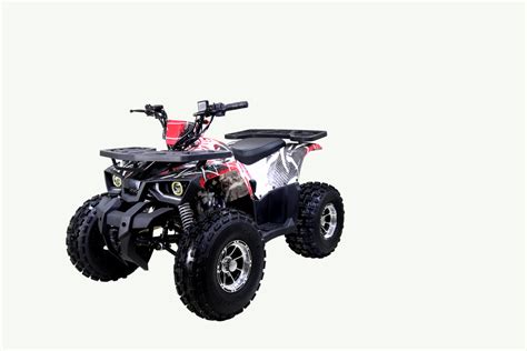 Tao Motor Raptor 120cc Automatic ATV | Buy Direct & Save - Ships Fast! | POWERSPORTS GONE WILD