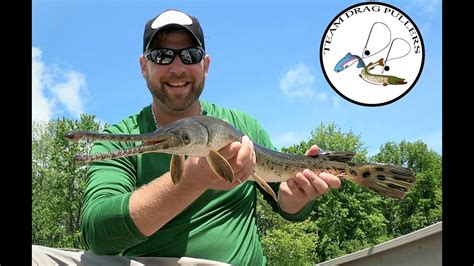 Gar Fishing Longnose Gar Ottawa River June 2019 Youtube