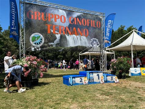 Mostra Canina Di Successo A Narni Scalo In Campo Enci E Polizia Di