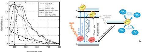 A Normalized Uv Vis Extinction Spectra Of Free Ppix Black Dashed