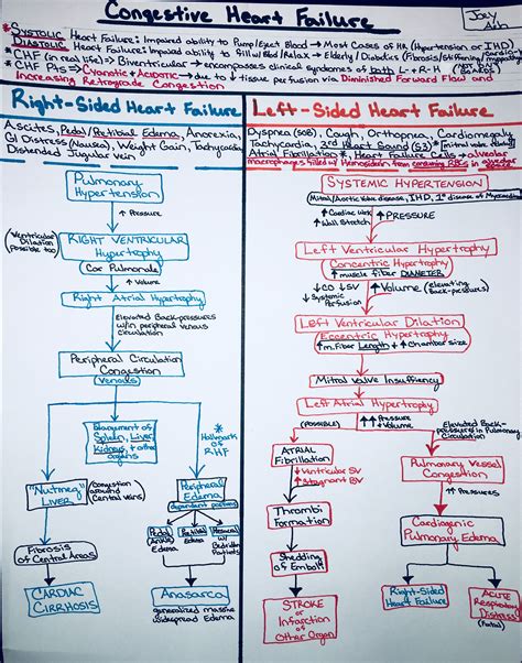 heart failure concept map