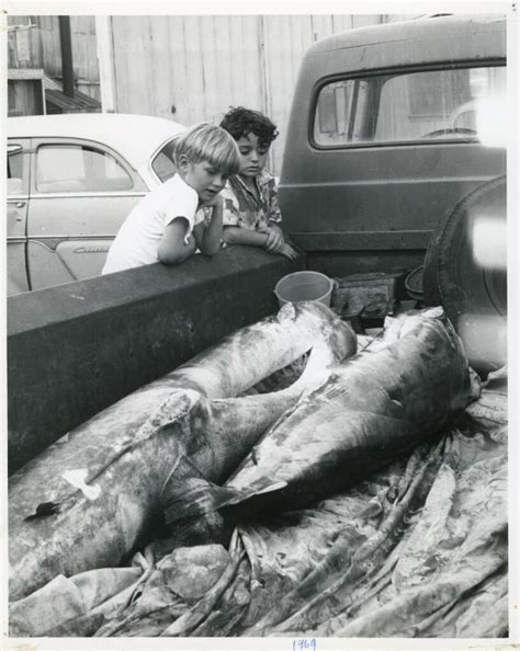 Unveiling the Rich History of Crab Cooker Newport Beach - The Crab Cooker