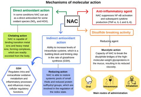 Antioxidants Free Full Text N Acetylcysteine Nac Impacts On