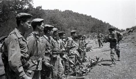 1956 Le Tournant De La Guerre Dalgérie