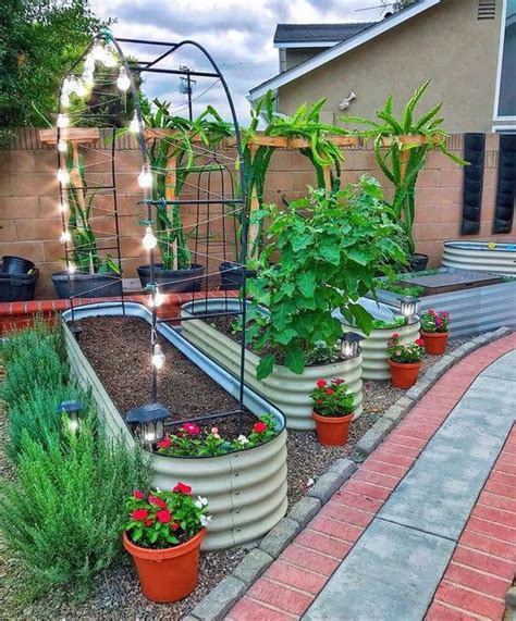 Easy Diy Gardening Ideas With Vegetables That Surprised You