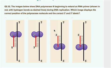 Solved Q2.32. The images below show DNA polymerase III | Chegg.com 