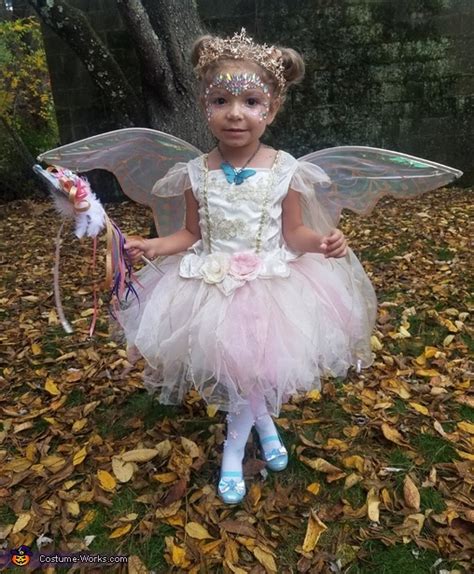 Princess Fairy Costume