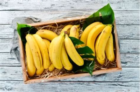 Do Bananas cause diarrhea? - http://www.plantsforyou.org/