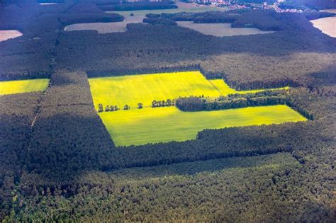 Döberitz aus der Vogelperspektive Gelb blühende Raps Blüten im