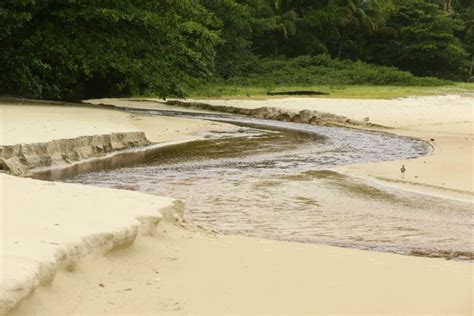 Praia De Lopes Mendes Ilha Grande