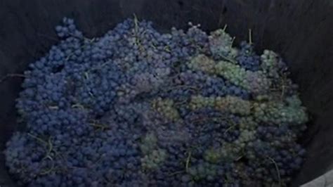 Natural Wonders Of The World 15 Tittenalarm 6 2001 Porn Videos