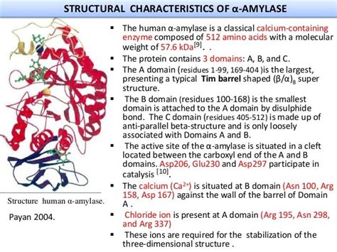 Presentation on Amylase enzyme