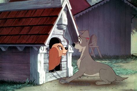 F5 Cinema e Séries Disney divulga fotos de cachorros que farão live