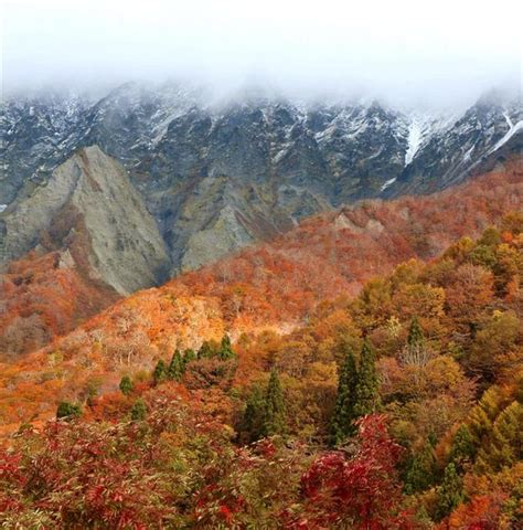 紅葉の大山に初冠雪 昨年より23日早く 読んで見フォト 産経フォト