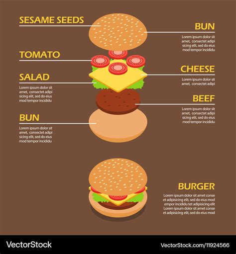 Isometric of burger ingredients infographic Vector Image