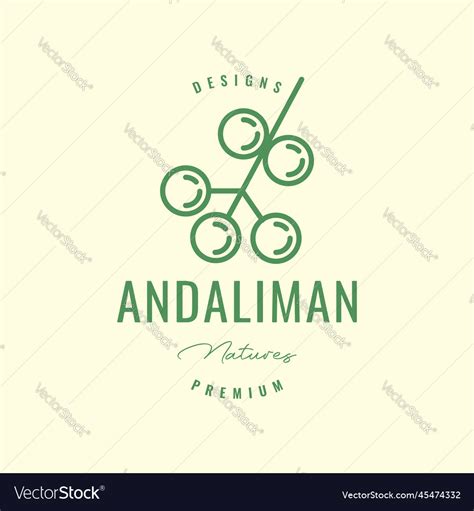 Andaliman spice cooking food seed taste line Vector Image