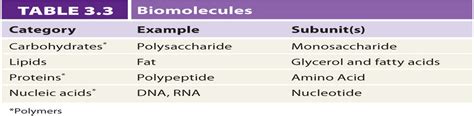 Chapter 3 Organic Molecules And Cells Diagram Quizlet