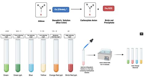 Biochemical Test Biology Notes Online