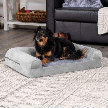 Dog Beds & Bedding: Small to XL, Low Prices (Free Shipping) | Chewy