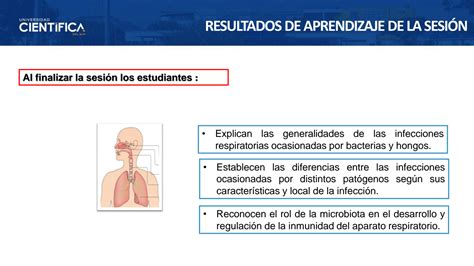 Solution Clase N Infecciones Del Sistema Respiratorio Bacterias Y