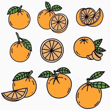 Doodle freehand sketch drawing of orange fruit. 3006938 Vector Art at ...