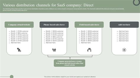 Various Distribution Channels For Saas Company Direct Ppt PowerPoint