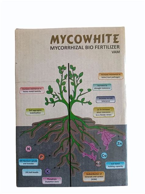 Mycowhite Mycorrhizal Biofertilizer At Rs Kg Arbuscular