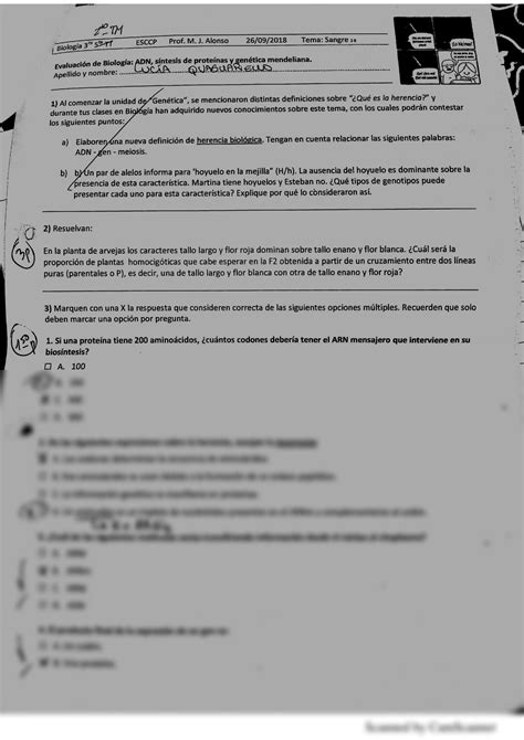 SOLUTION Examen 2do Cuatrimestre Tema Herencia Studypool