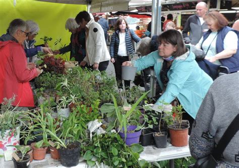 Villefontaine Succès du troc aux plantes