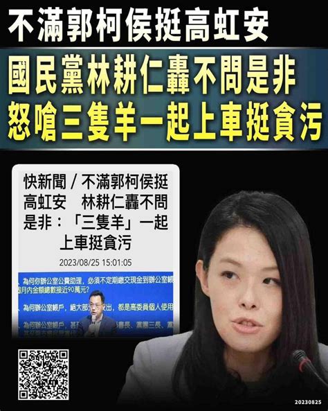 林耕仁批郭柯侯不問是非挺高虹安 王定宇問朱立倫要不要開除？ 政治 自由時報電子報