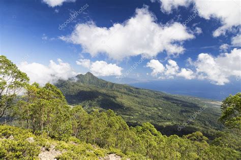 La L Nea De Rboles En La Caminata Por El Monte Egon En La Isla