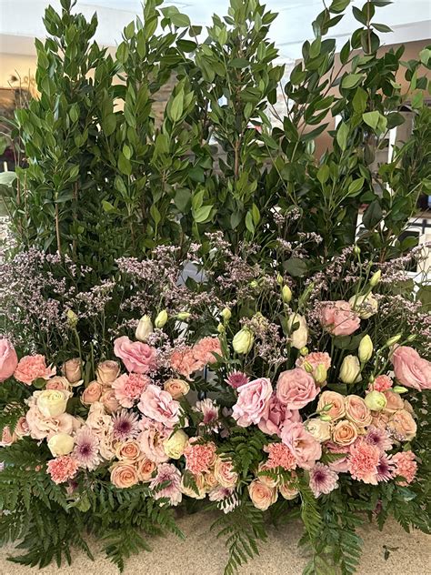 Mini dachshund east Texas | Wills Point TX