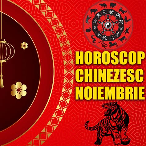 Horoscopul Chinezesc Pentru Luna Noiembrie Iepurele Se Va Dedica 100