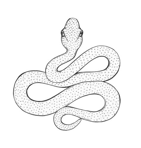 Snake 3d Drawing at GetDrawings | Free download