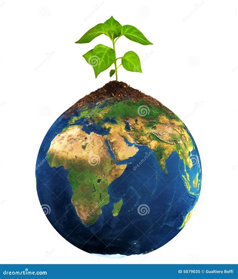 Planta Nova Isolada Na Terra Imagem De Stock Imagem De Conceitos