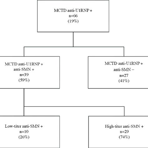 Flowchart Mctd Mixed Connective Tissue Disease Rnp Download Scientific Diagram