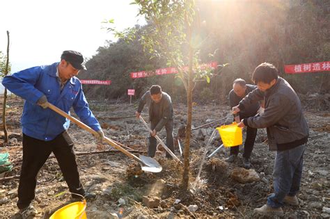 贵州剑河：义务植树添新绿 种下新年新希望央广网