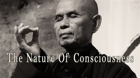 The Nature Of Consciousness | Thich Nhat Hanh - AudioBuddha