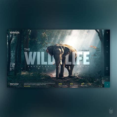 Wildlife - Design b | Web design, Photography logo design, Web design ...