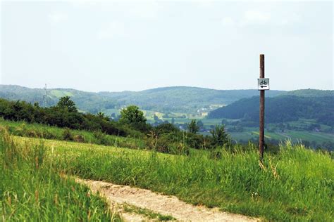 Rowerem Po Roztoczu Zwierzyniec Nr Prawdziwy Las Rowerem Po Roztoczu