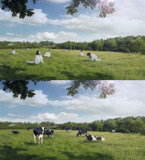 Top 104 Pictures If Cows Are Lying Down Is It Going To Rain Latest