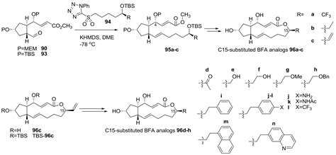 Recent Synthesis And Discovery Of Brefeldin A Analogs