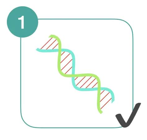 Gene cloning: Definitions, Steps, Procedure, Applications and ...