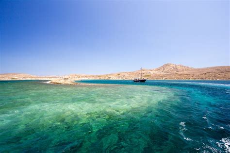 Von Mykonos Aus Kreuzfahrt Nach Delos Und Rhenia Mit Mittagessen