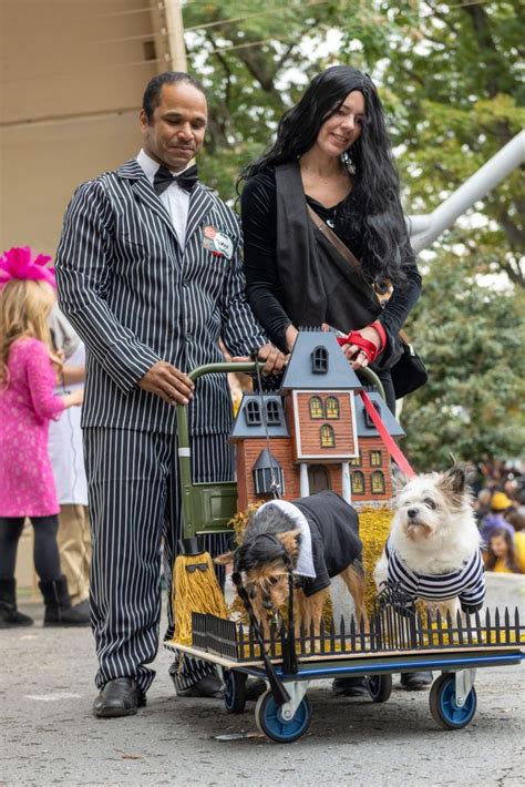 What Costume Goes With A Dog: Creative Ideas For Dressing Up Your ...