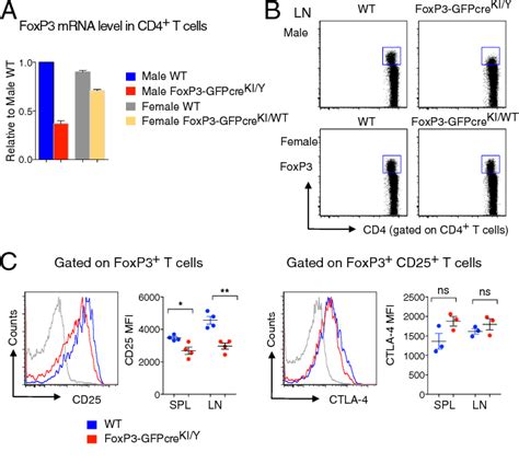 Figure 2 From Nonoverlapping Roles Of Pd 1 And Foxp3 In Maintaining