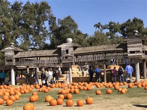 The Best Pumpkin Patches Around The Bay Area And Beyond