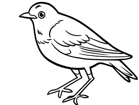 Charming American Robin Coloring Sheet - Coloring Page