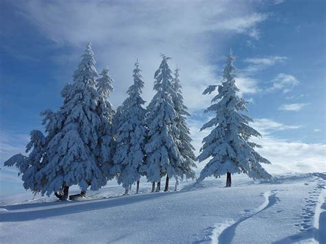 Winterurlaub Im Schwarzwald 7 Tipps Rund Um Den Feldberg